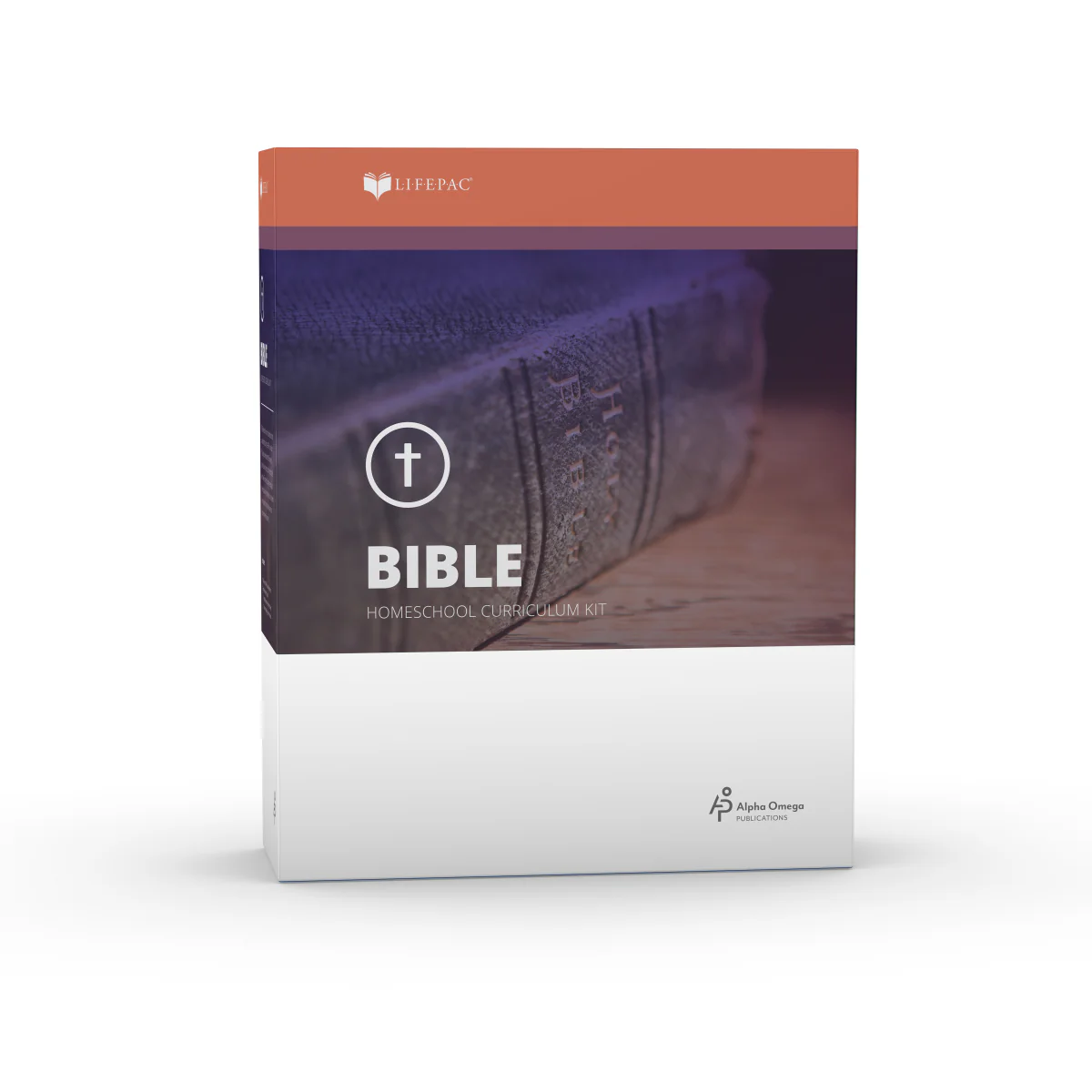 New Testament Survey Box Set